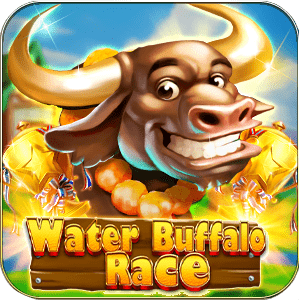 Water Buffalo Race