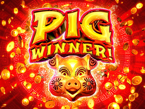Pig Winner